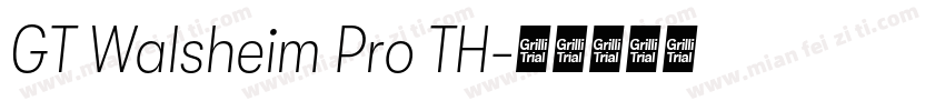 GT Walsheim Pro TH字体转换